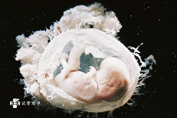 中等质量胚胎移植能成功吗？附中等胚胎移植成功率详情