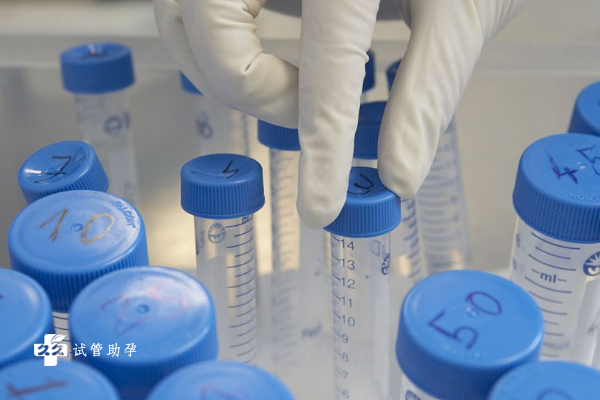 中山一院做三代试管筛查五个胚胎需要多少费用？