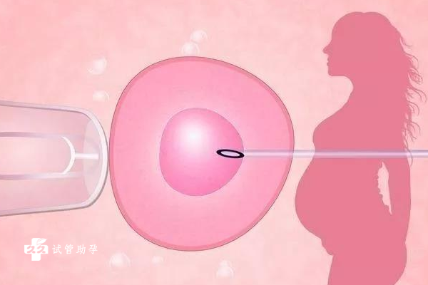 宫颈管狭窄做试管婴儿能成功怀孕吗？