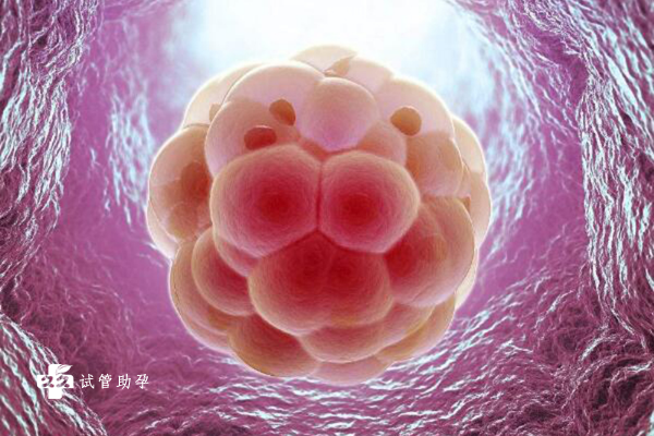 子宫发育畸形试管促排卵泡多会影响卵泡的质量吗？