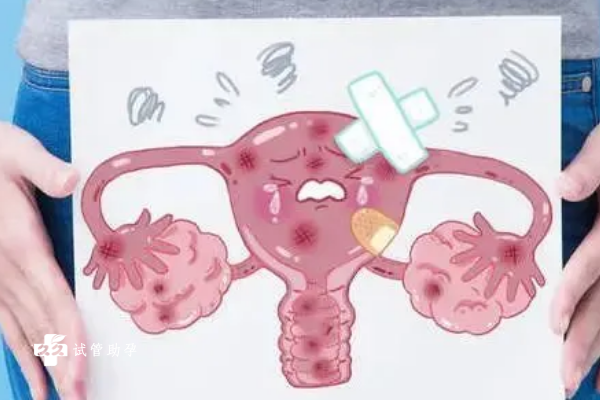 子宫内膜严重损伤做试管移植成功的几率有多大？