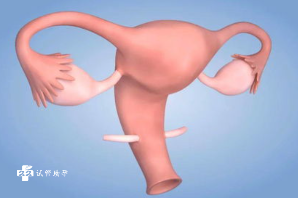 35岁宫颈粘连的女性可以通过试管婴儿的方式怀孕吗？
