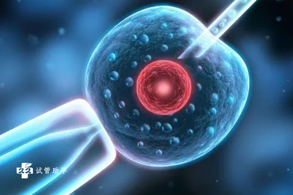 视网膜母细胞瘤可以通过三代试管的方式避免遗传吗？