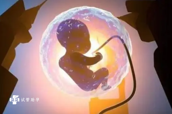 在泰国做一次试管婴儿的成功率究竟有多高？