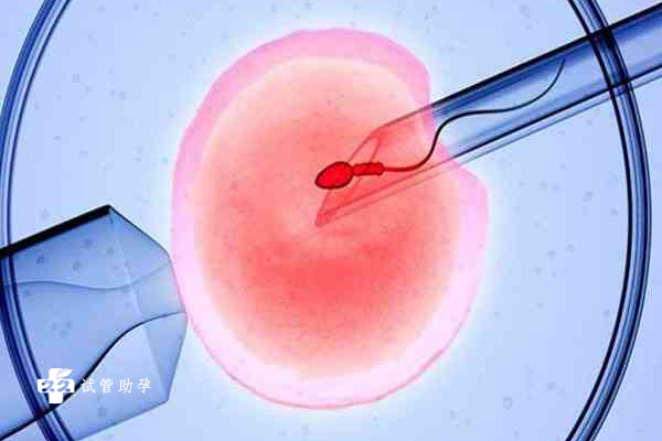 抗精子抗体阳性的患者在试管冻胚移植前能进行性生活吗？