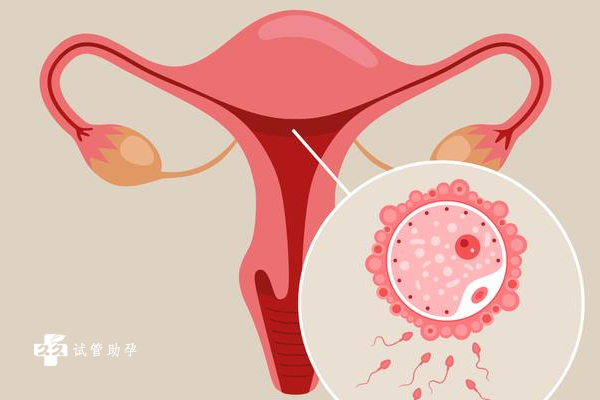 子宫内膜炎做试管会对胚胎发育带来影响吗？