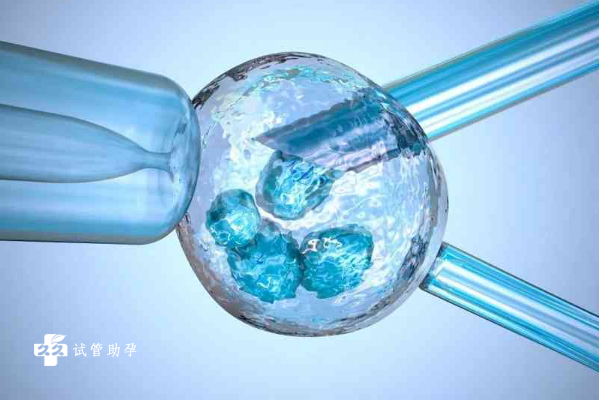 卵巢早衰试管的女性做试管可以移植两个鲜胚吗？