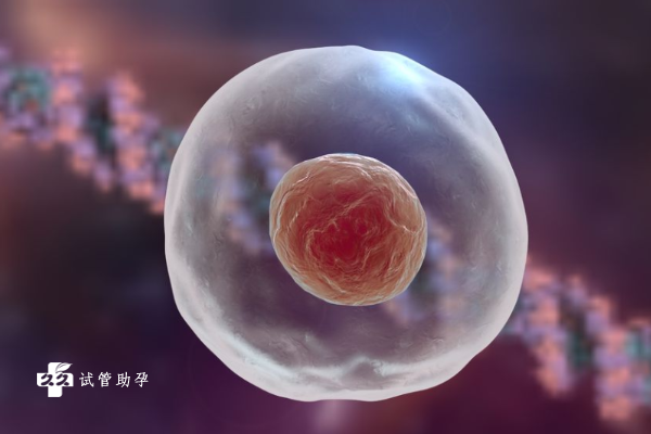 试管期间胚胎出现发育不良的情况是什么原因导致的？