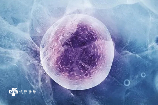 女性始基子宫做试管能选择冻胚移植吗？