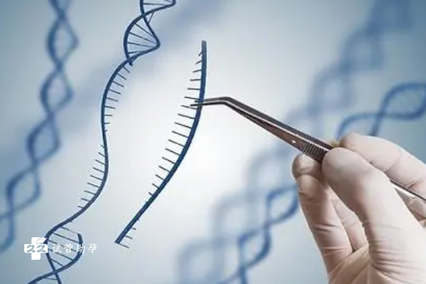 基因缺失的患者能通过三代试管的方式进行生育吗？