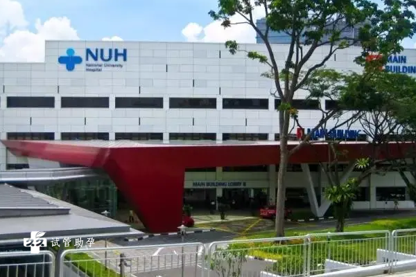 新加坡试管医院排名一览，新加坡国立大学医院排第一