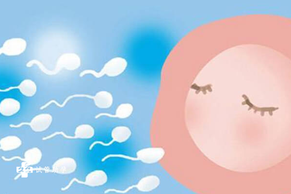轻微子宫肌瘤做试管婴儿移植鲜胚的成功率高吗？