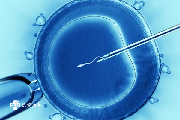 男性使用附睾中的精子做试管的成功率怎么样？