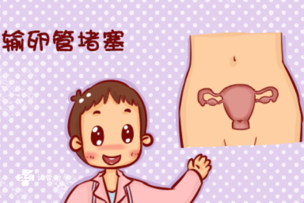 女性子宫输卵管在哪个位置，示意图
