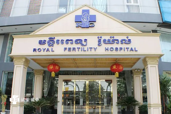 单身女性去柬埔寨皇家生殖医院做人工授精需要多少钱？