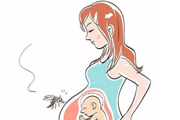 孕妇驱蚊选对方法很重要，附适合孕妇的有效驱蚊方式