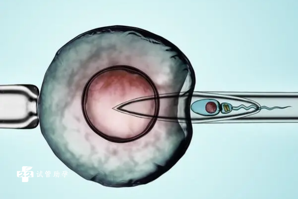 在进行胚胎移植前需要注意的事项有哪些？