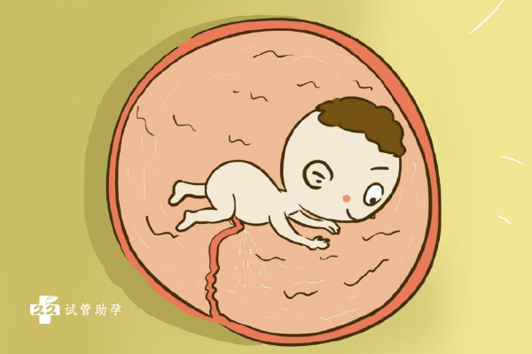在怀孕第几个月宝宝生长的速度最快？