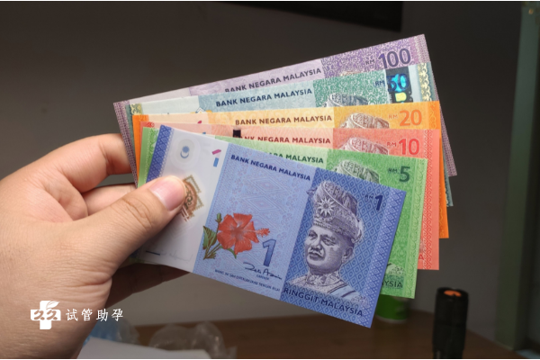 马来西亚试管费用一览，与其他国家相比真的不贵