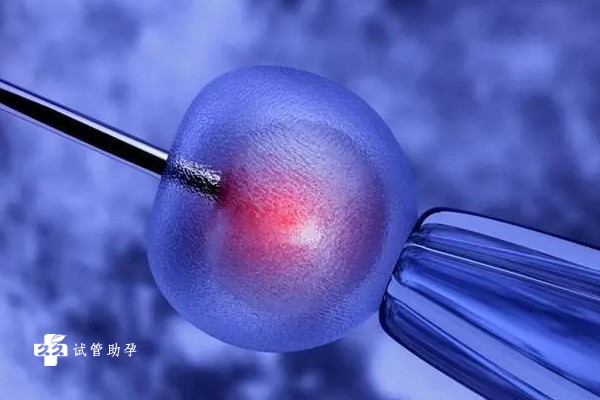 染色体倒位做三代试管婴儿会影响胚胎质量吗？