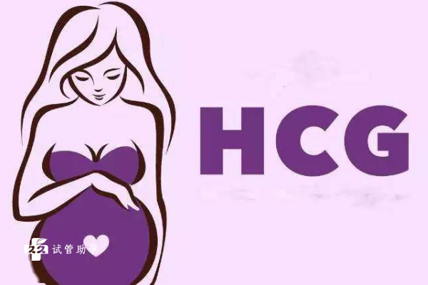 孕初期hcg涨得慢别灰心！身体素质不同翻倍情况不同