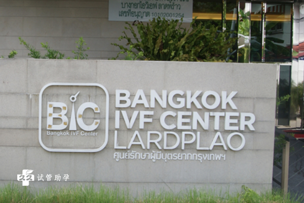 去泰国做试管婴儿选择哪家医院最靠谱？