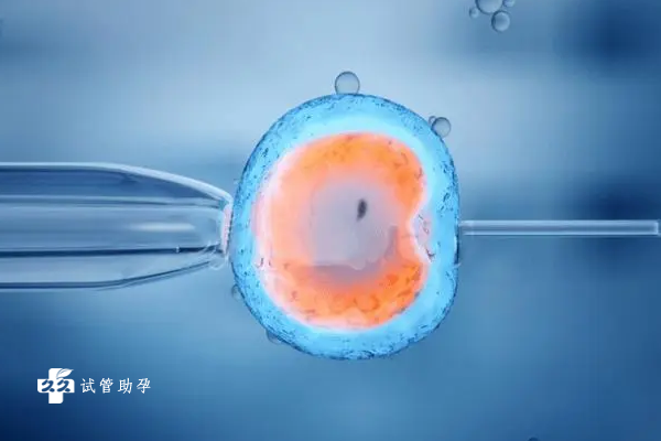 宫腔粘连做试管移植选择鲜胚好还是冻胚好？