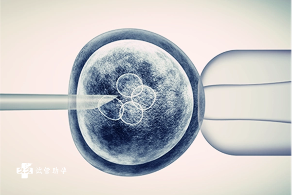 内分泌失调做试管怎样提高冻胚移植的成功率？