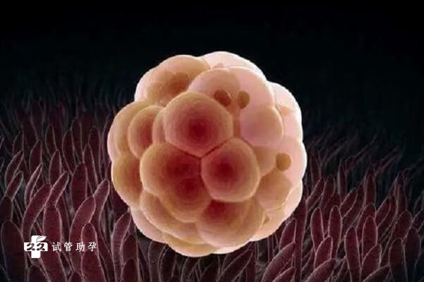 三代试管胚胎着床时间一览，三到五天测出着床都是正常情况