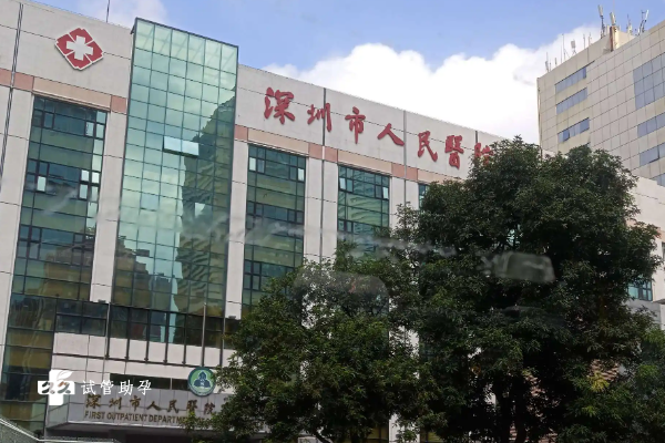 深圳人民医院试管流程一览，附助孕成功率及注意事项
