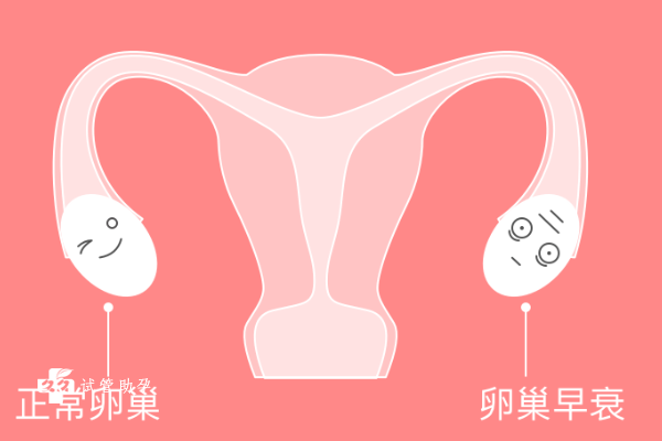 49岁卵巢早衰可以做供卵试管婴儿吗？成功率高吗？
