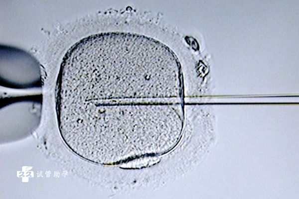 试管胚胎冷冻后能保存多久？