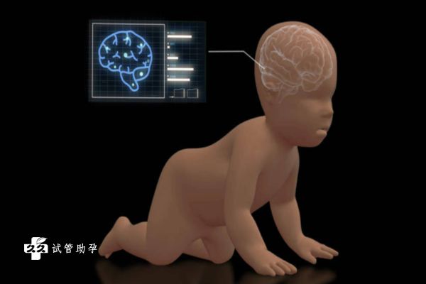 双顶径偏小的胎儿出生后的智力会不会受影响？