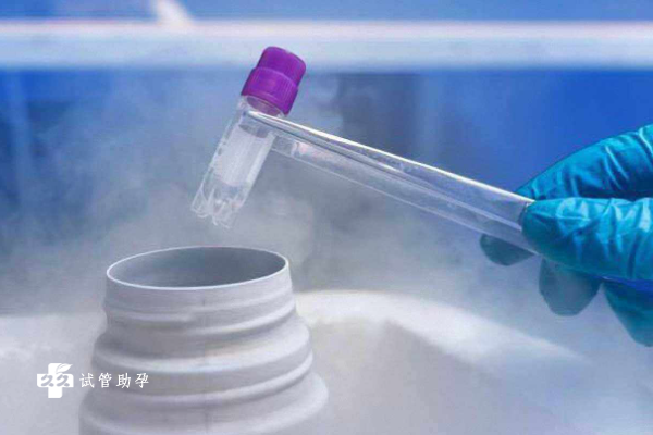 试管胚胎无法冻结的原因是什么？