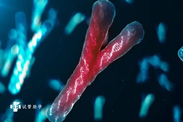 染色体不排除微小结构异常会有什么影响？