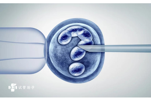 三代试管植入一个囊胚能生双胞胎吗，这份手术须知建议收藏