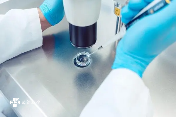 胚胎受精晚做试管婴儿能成功吗？