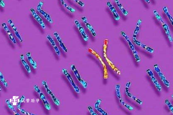 染色体重复和缺失哪种会影响孩子的寿命？