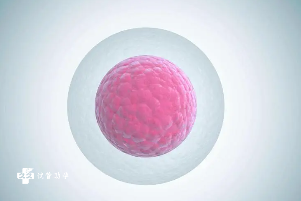 试管第三天胚胎有6个细胞是否正常？