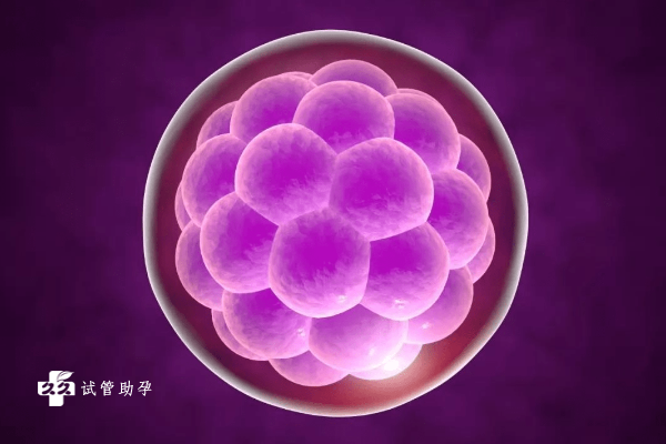 泰国试管技术可以通过囊胚级别判断成功率吗？