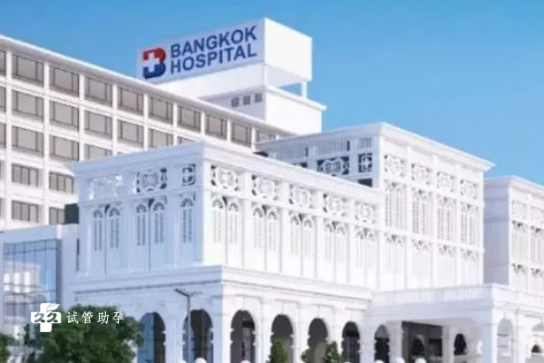 泰国试管医院排行榜揭晓，这些机构技术优秀