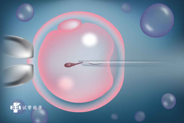 泰国试管婴儿技术流程和成功率一览，这些技术优势可了解