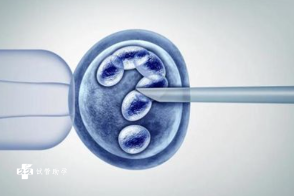 试管移植后的注意事项是什么？囊胚会变成葡萄胎吗？