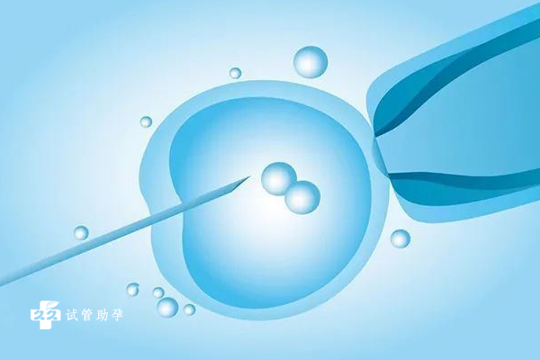 试管婴儿胚胎发育缓慢的原因是什么？还能成功吗？