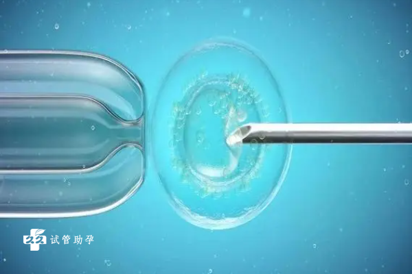 阴道横隔试管移植4A囊胚的成功率高吗？如何提高成功率？