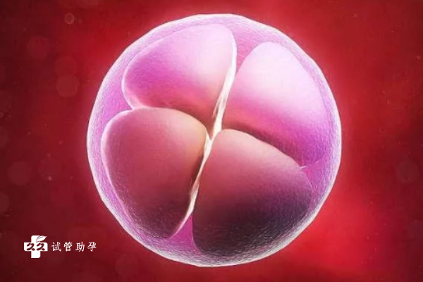 试管配成胚胎少的原因是什么，做到这些事可增加健康胚胎的数量