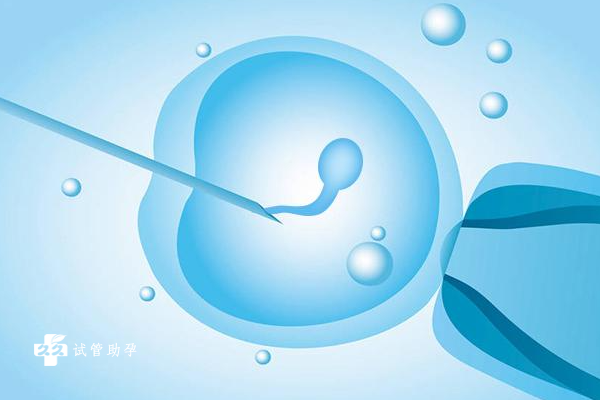 胚胎移植的成功率是多少，移植流程和注意事项可参考