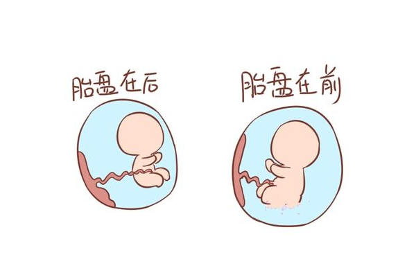 胎盘分级孕周对照详细解读，准妈妈们赶紧收藏起来吧