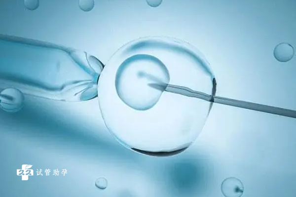 始基子宫做试管移植4A囊胚的成功率是多少？能否成功？