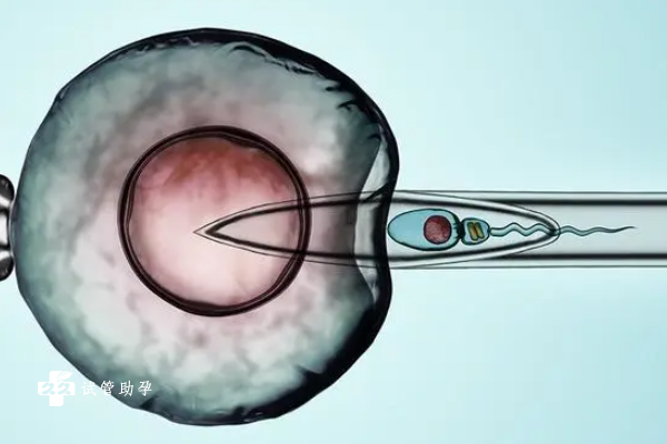 卵巢发育不全能做试管取卵吗？多久可以进行胚胎移植？